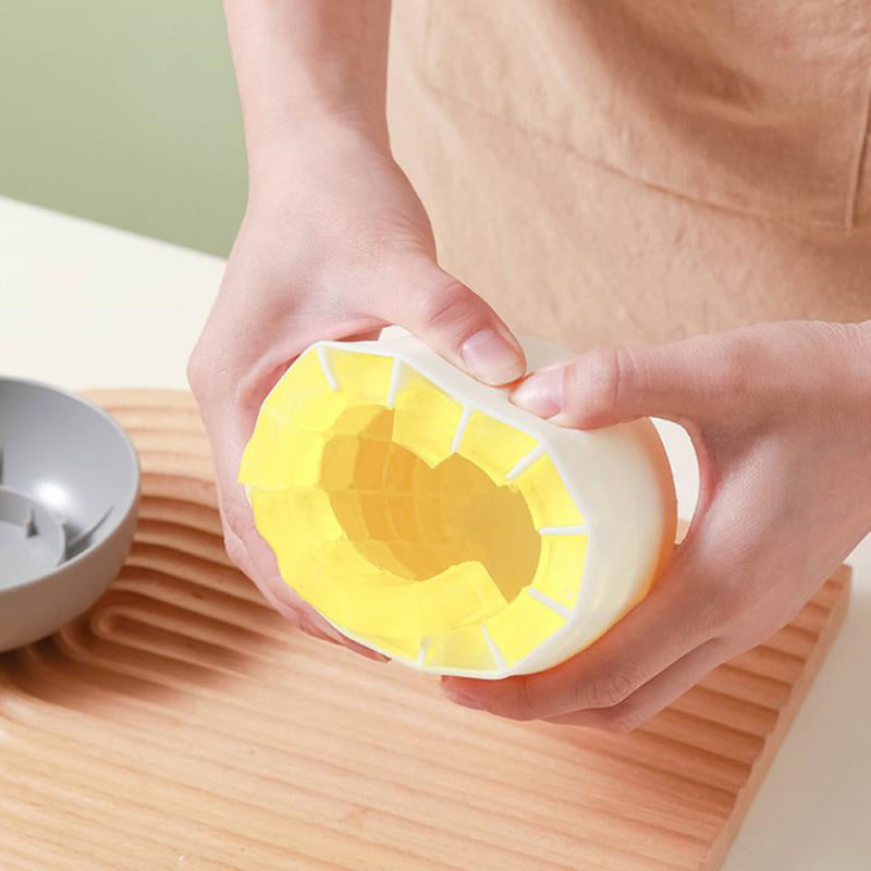 FanEase Ice Block Mold