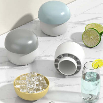 FanEase Ice Block Mold